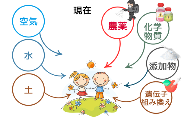 子供達のイラストと、今、人の体を作っているものは、空気・水・土(土からできたもの)』に加え、農薬・化学物質・添加物・遺伝子組み換え作物になっていることを説明するイラスト