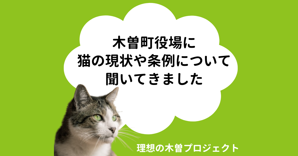 アイキャッチ：記事タイトルと猫の写真