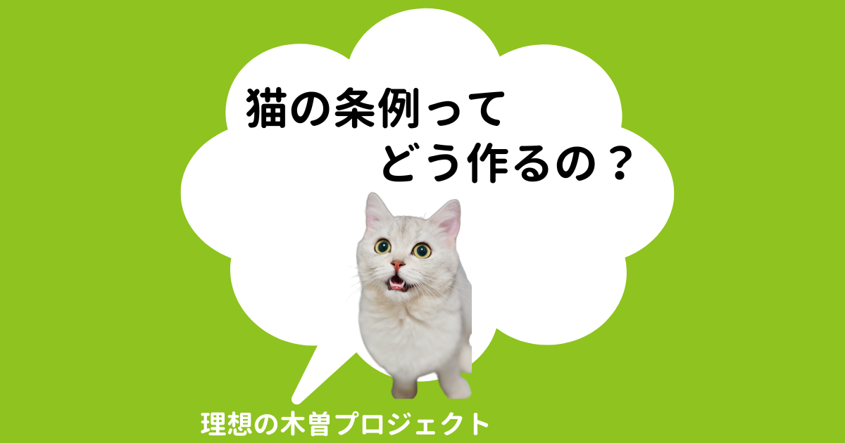 タイトル：猫の条例ってどう作るの？（猫の写真付き）