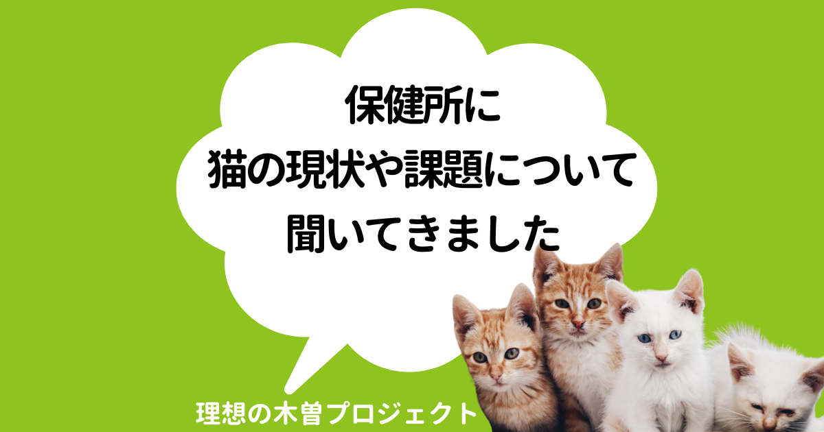 アイキャッチ：タイトルと猫の写真