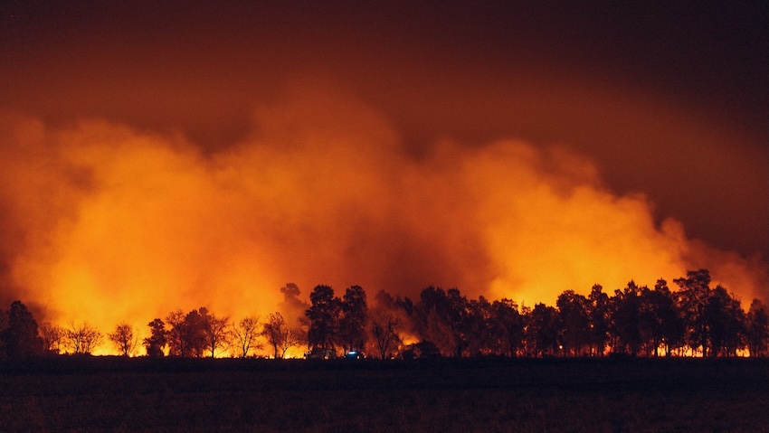 山火事の写真