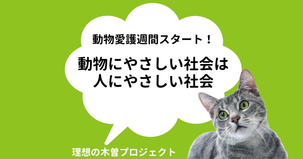 アイキャッチ：記事タイトルと首を傾げた猫の写真