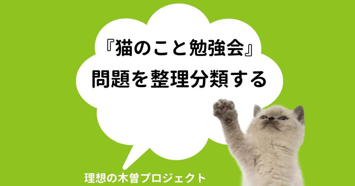アイキャッチ：記事タイトルと、ぶさかわの猫の写真
