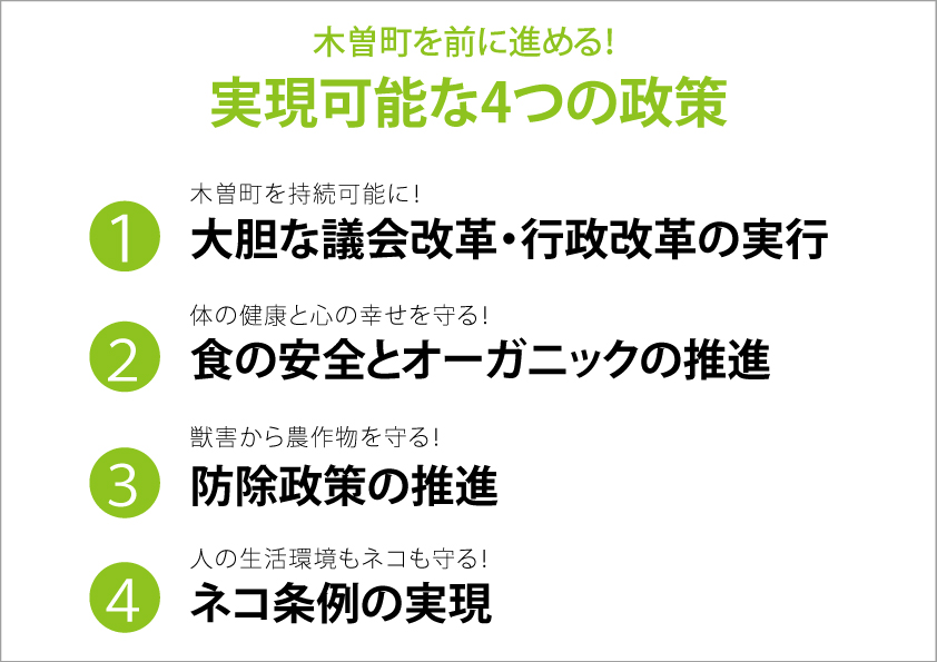 4つの政策を画像にしたもの