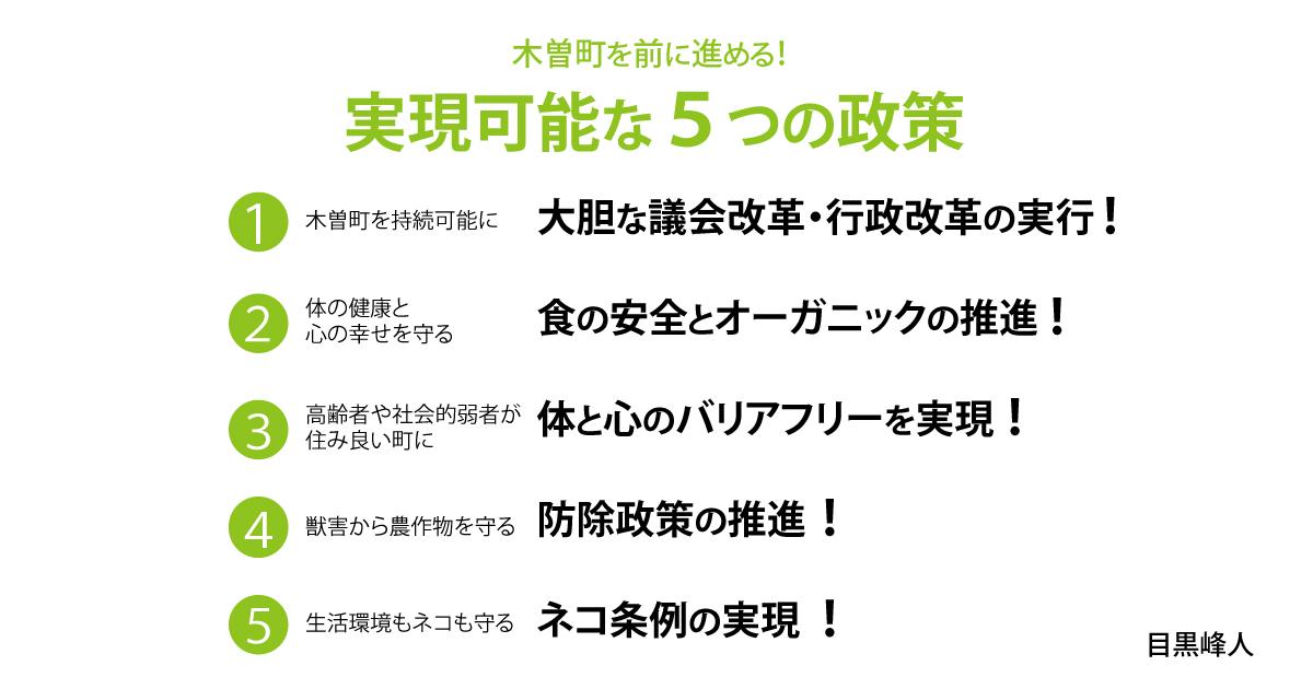 実現可能な５つの政策を画像にしたもの
